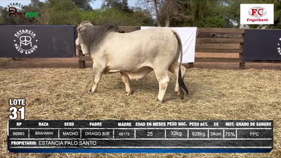 Lote ESTANCIA PALO SANTO