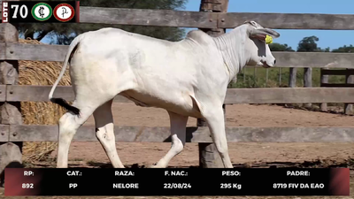Lote LOTE 70