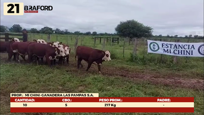 Lote LOTE 21