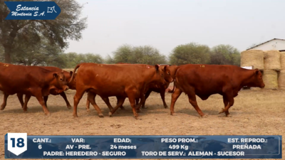 Lote LOTE 18