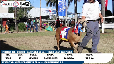 Lote LOTE 42