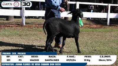 Lote LOTE 30
