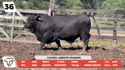 Lote LOTE 36