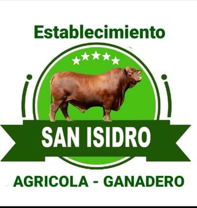 Lote Establecimiento San Isidro - Vaquilla 261