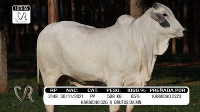 Lote LOTE 55
