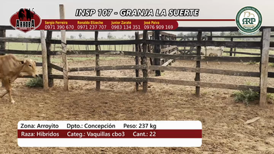 Lote Insp 107