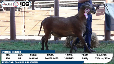 Lote LOTE 9