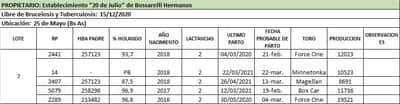 Lote Lote 7