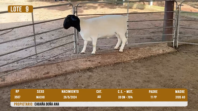 Lote LOTE 9