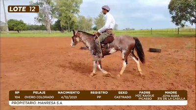 Imagen LOTE 12- CAMPO