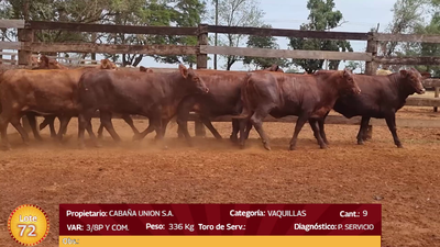 Lote LOTE  72