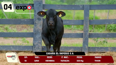 Lote LOTE 4