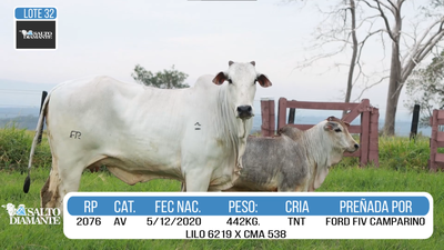 Lote LOTE 32