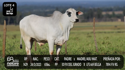 Lote LOTE 4