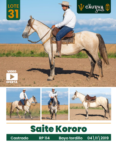 Lote LOTE 31