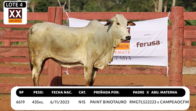 Lote LOTE 4