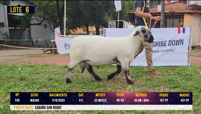 Lote LOTE 6