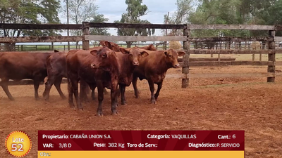 Lote LOTE  52