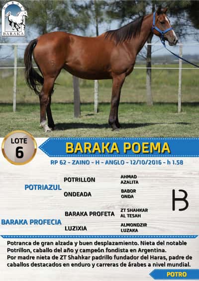 Lote BARAKA POEMA