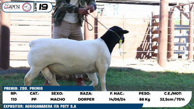 Lote LOTE 19
