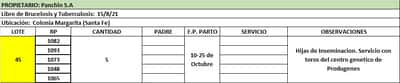 Lote Lote 45 Panchin Sa