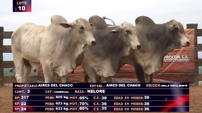 Lote AIRES DEL CHACO SA- LOTE 10