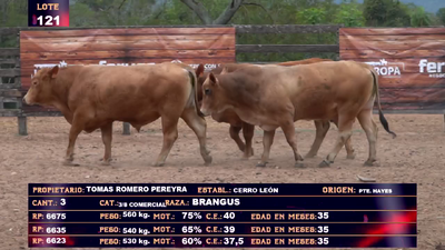 Lote TOMAS ROMERO PEREIRA- LOTE 121