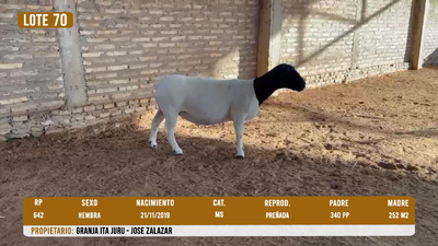 Lote LOTE 70