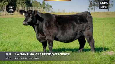 Lote LA SANTINA APARECIDO - 93 - 706 TE