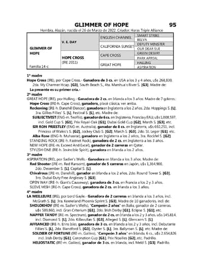 Lote GLIMMER OF HOPE