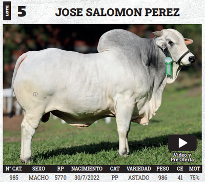 Lote LOTE 5 - BOZAL