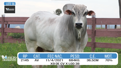 Lote LOTE 56