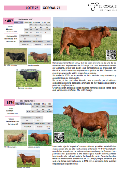 Lote Corral 27