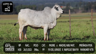 Lote LOTE 26