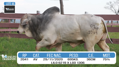 Lote LOTE 46