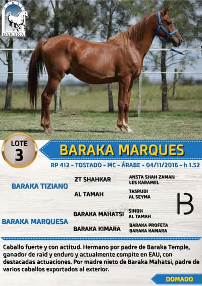 Lote BARAKA MARQUES
