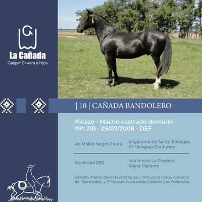 Lote Cañada Bandolero (RP 210) Cabaña "La Cañada"