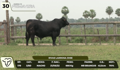 Lote LOTE 30- CAMPO