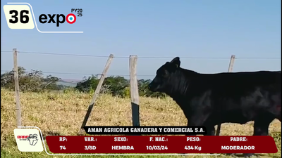Lote LOTE 36
