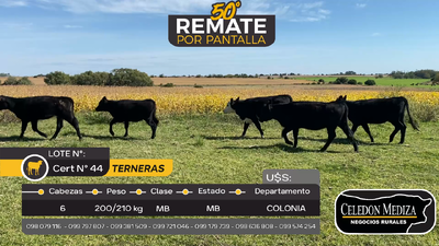 Lote 6 Terneras en Puntas de Arenales, Colonia