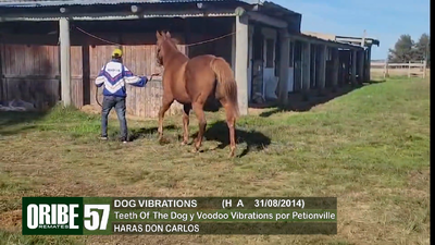 Lote Lote 57