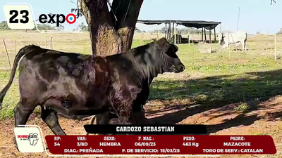 Lote LOTE 23