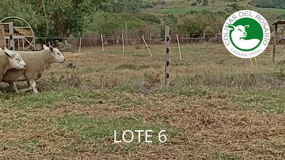 Lote Lote 6 - Colinas del Rosario