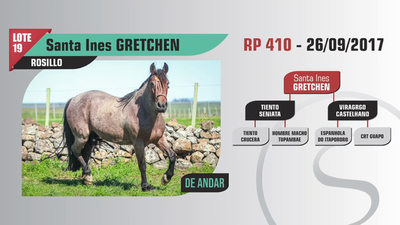 Lote Santa Ines GRETCHEN