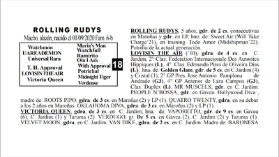 Lote ROLLING RUDYS