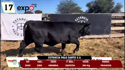 Lote LOTE 17