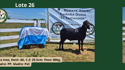 Lote PxC