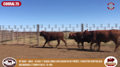 Lote CORRAL 25