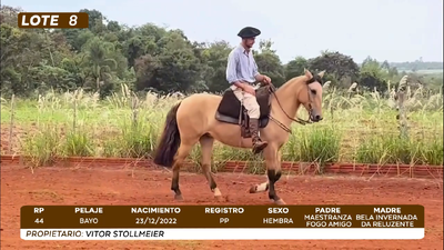 Lote LOTE 8- BOZAL