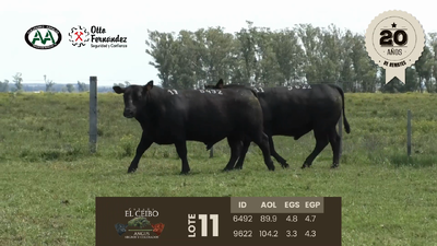 Lote 2 Toros, Artigas